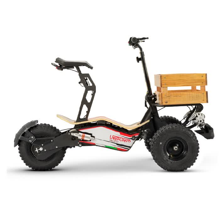 سه چرخه برقی  MAD Truck