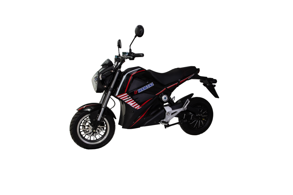 موتور سیکلت برقی EH 2000